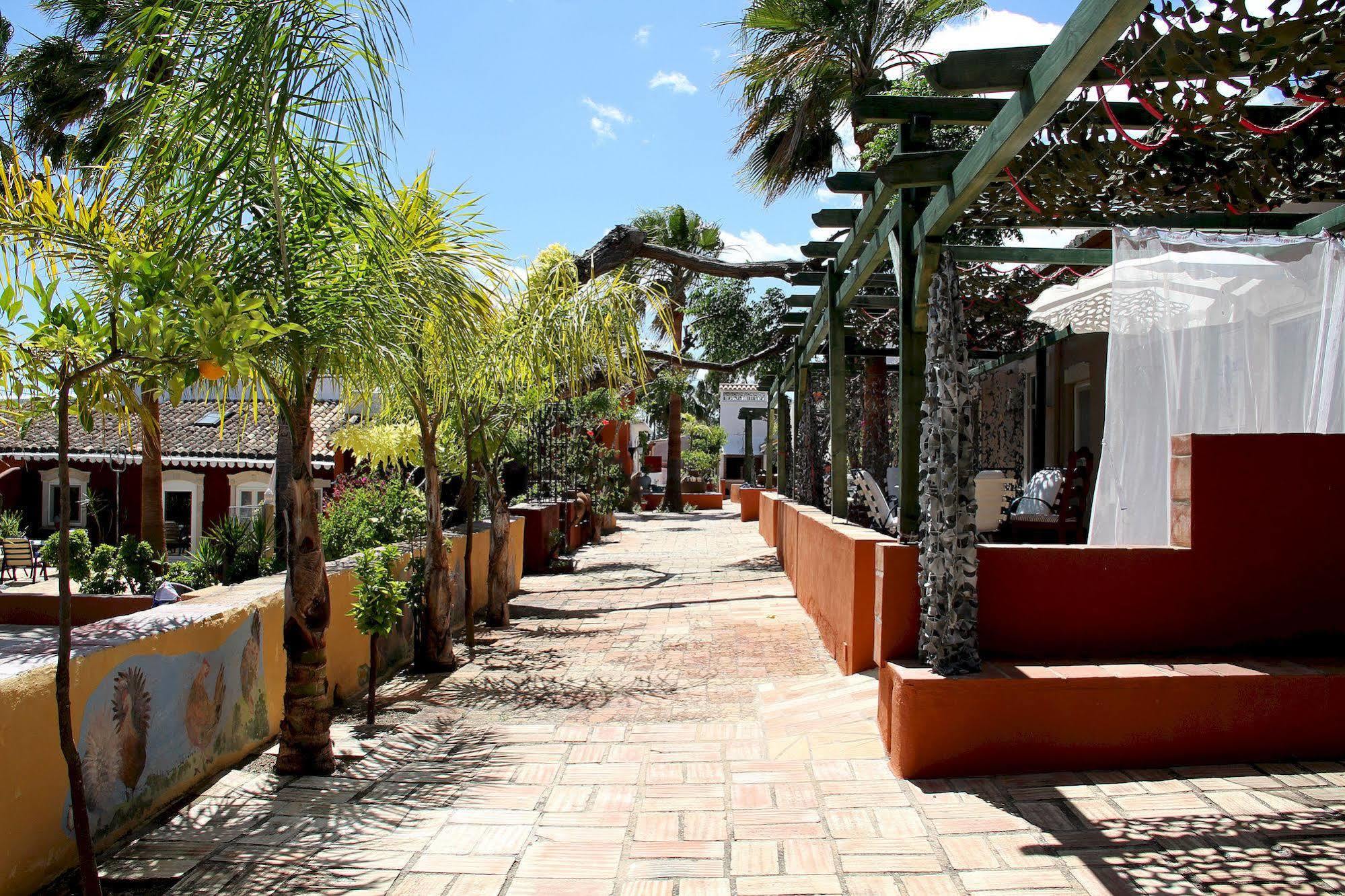 Quinta Dos Amigos Apartment Almancil Exterior photo